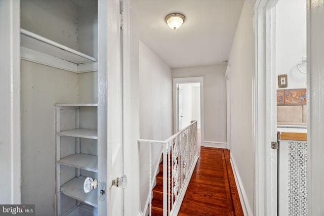 corridor featuring dark wood-type flooring