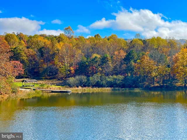property view of water featuring a wooded view