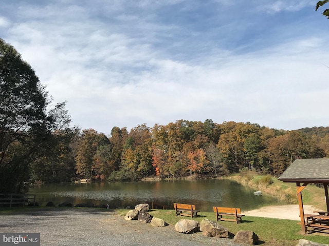 water view featuring a view of trees
