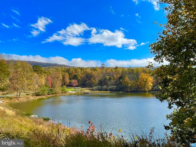 view of water feature featuring a forest view