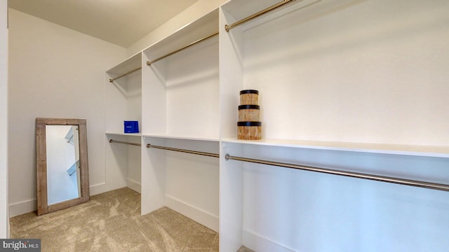 spacious closet featuring light carpet