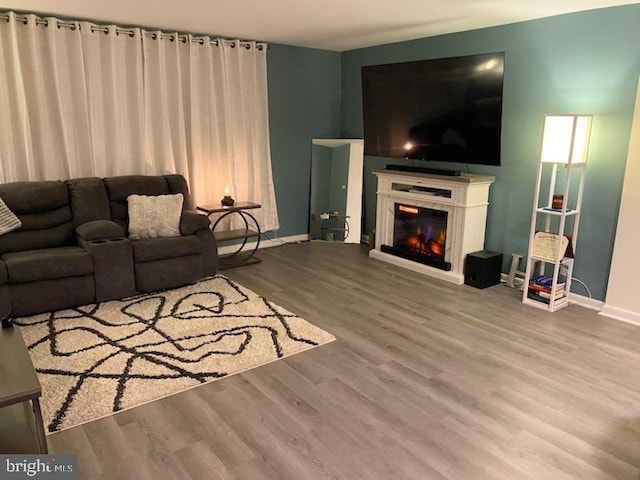 living room featuring wood-type flooring