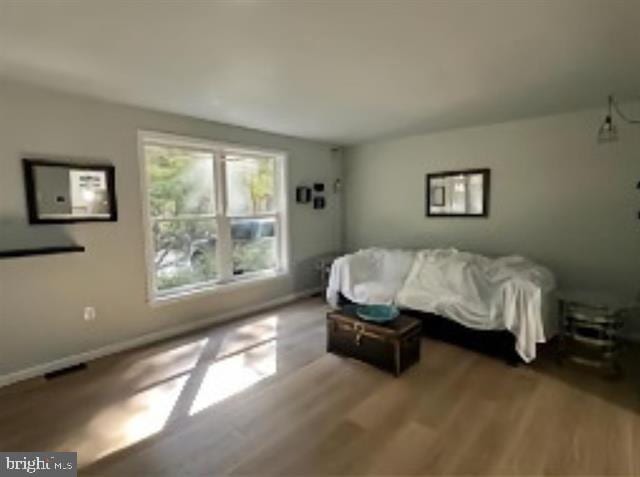 living room featuring light hardwood / wood-style flooring