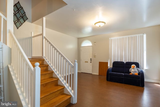 entrance foyer with dark wood-type flooring