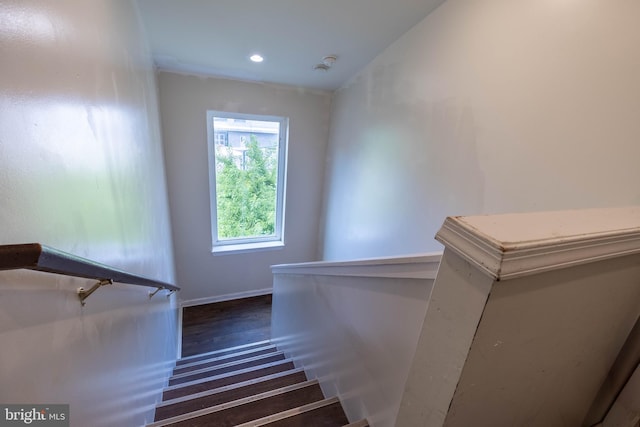 staircase with vaulted ceiling and wood-type flooring