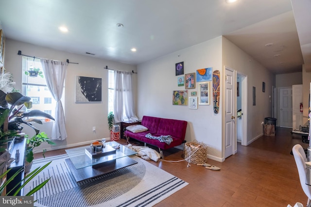 living room featuring hardwood / wood-style floors