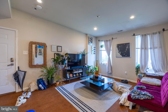 living room featuring wood-type flooring and plenty of natural light