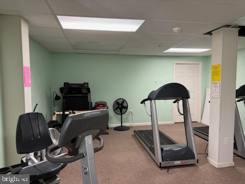 workout room with a paneled ceiling and carpet