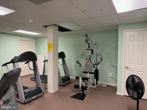 workout room with a paneled ceiling and carpet