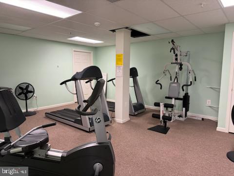 exercise area featuring carpet and a drop ceiling