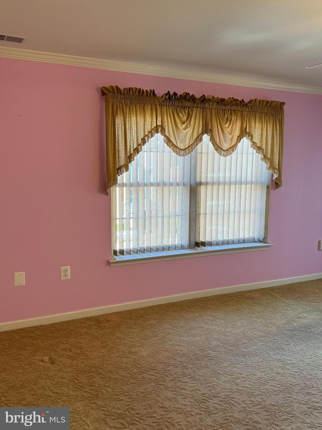 spare room with ornamental molding and carpet