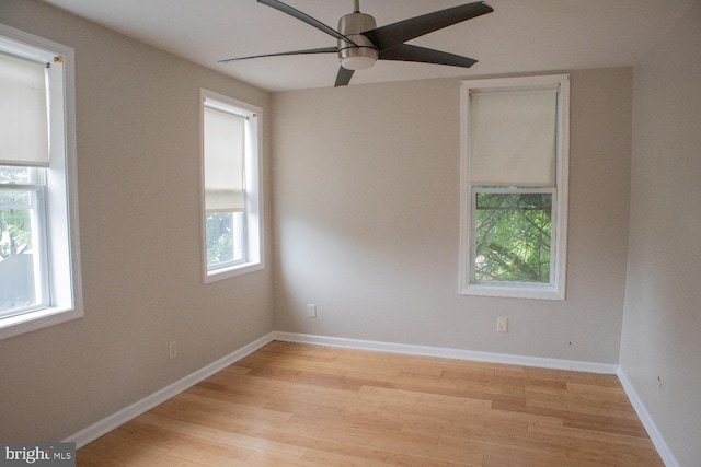 unfurnished room with a wealth of natural light, light hardwood / wood-style floors, and ceiling fan