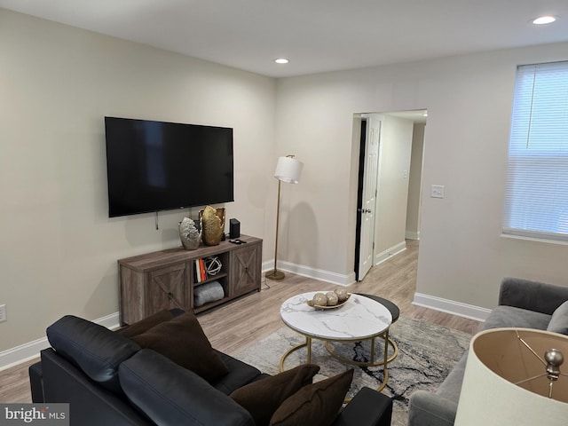 living room featuring light hardwood / wood-style floors