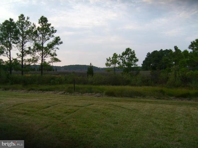 view of yard featuring a rural view