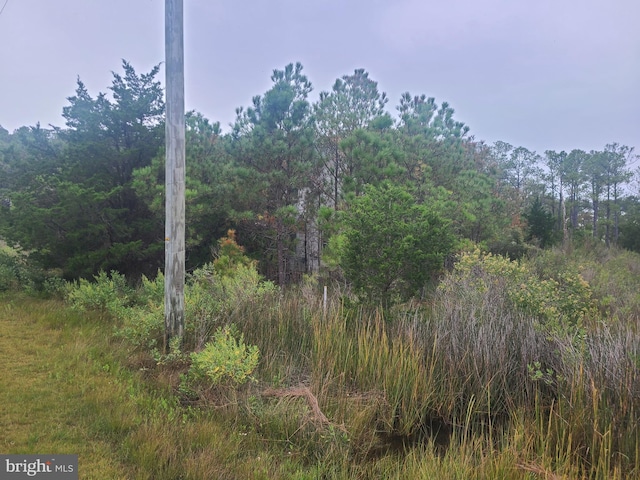 view of landscape