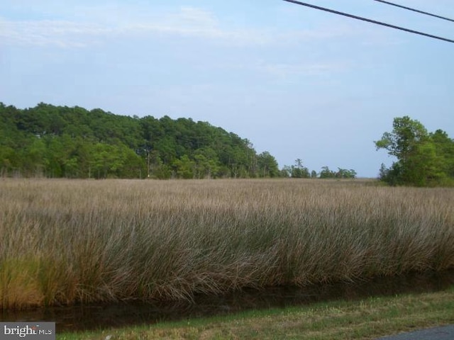 view of nature