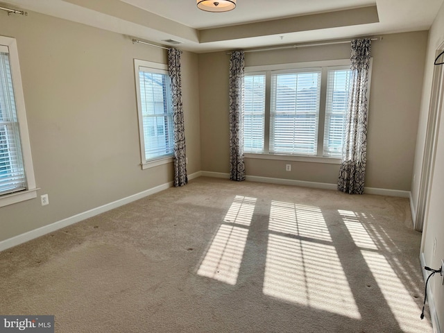 carpeted spare room featuring a tray ceiling