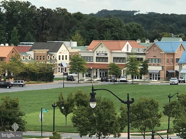 view of community with a yard