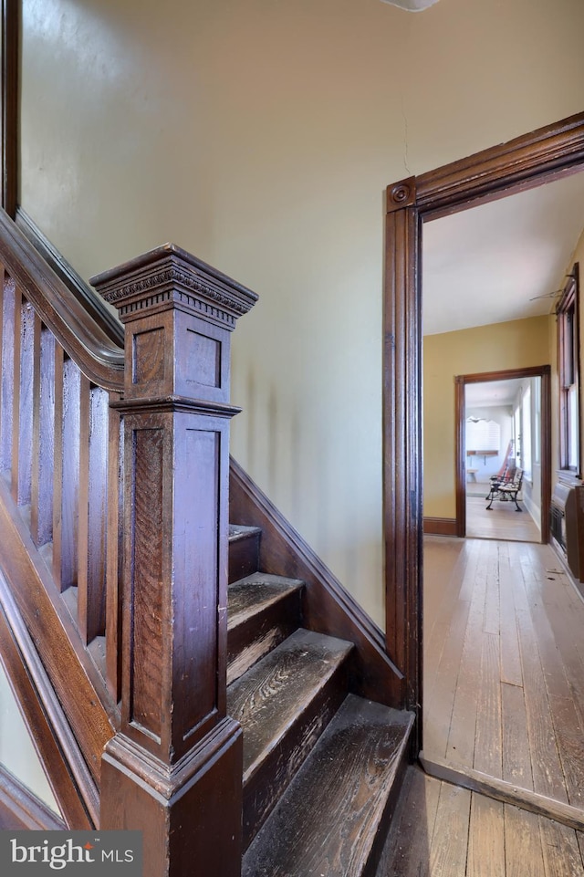 staircase featuring wood-type flooring