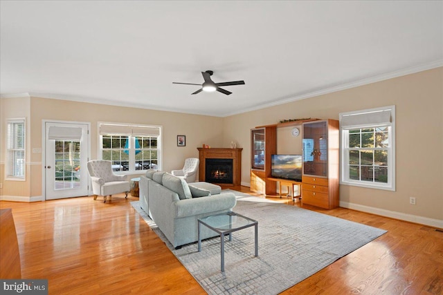 living room with crown molding, ceiling fan, a healthy amount of sunlight, and light wood-type flooring