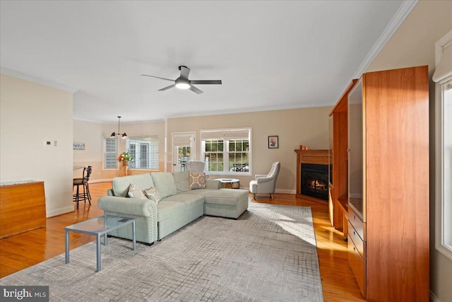 living room featuring light hardwood / wood-style floors, ceiling fan, and crown molding