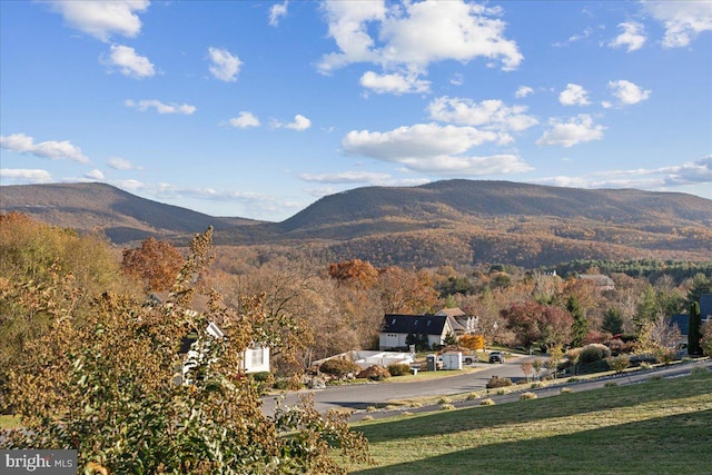 view of mountain feature