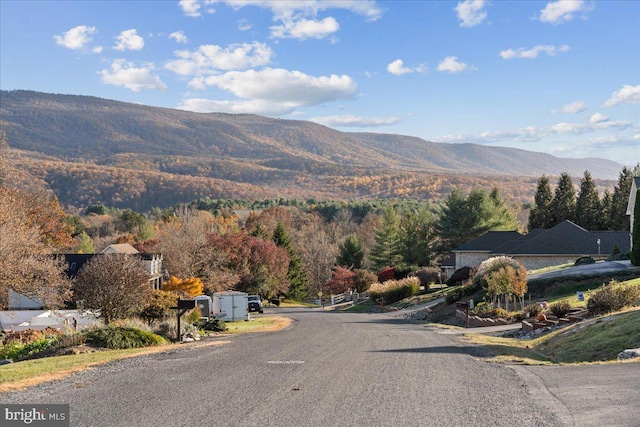 view of mountain feature