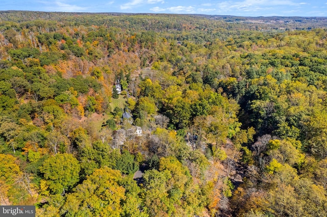 6503 Fleecydale Rd, New Hope, PA 18938 - aerial view with a view of trees