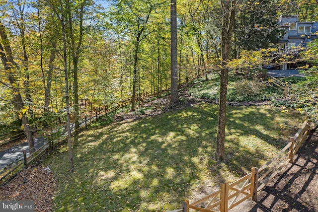 6503 Fleecydale Rd, New Hope, PA 18938 - view of yard
