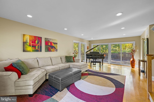 6503 Fleecydale Rd, New Hope, PA 18938 - living room featuring wood finished floors and recessed lighting