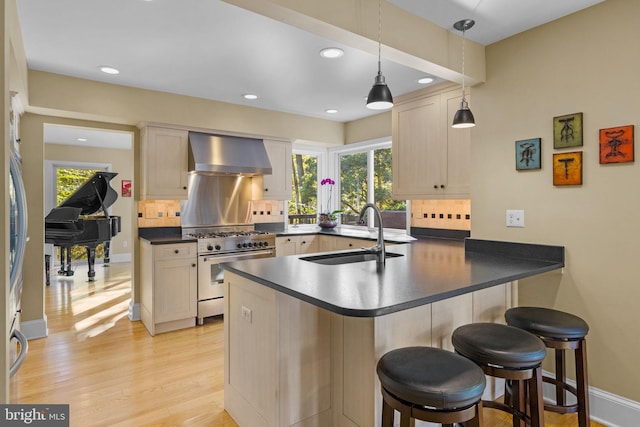 6503 Fleecydale Rd, New Hope, PA 18938 - kitchen featuring high end stainless steel range, a sink, decorative backsplash, wall chimney exhaust hood, and a peninsula