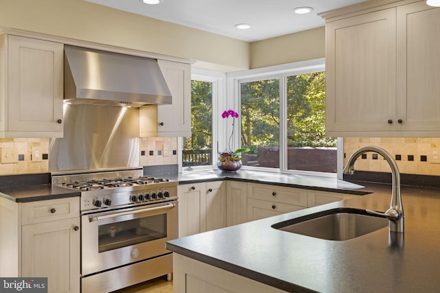 6503 Fleecydale Rd, New Hope, PA 18938 - kitchen with high end stainless steel range oven, a sink, plenty of natural light, and wall chimney range hood