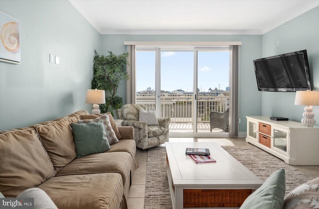 living room featuring ornamental molding