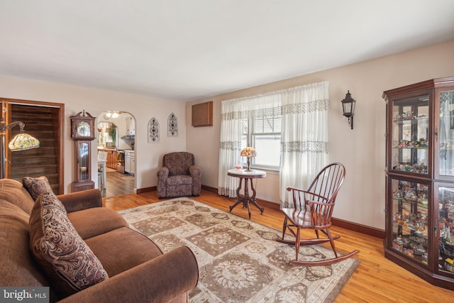 living room with light hardwood / wood-style flooring