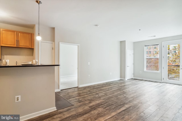 kitchen featuring hardwood / wood-style floors and decorative light fixtures