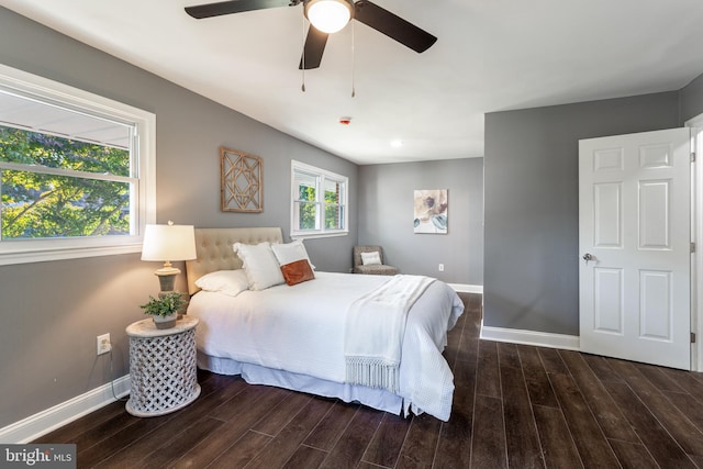 bedroom featuring ceiling fan and dark hardwood / wood-style floors