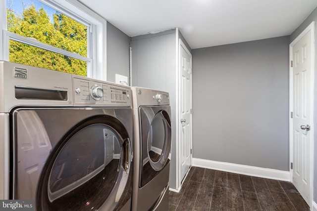 laundry room featuring washing machine and dryer and dark hardwood / wood-style floors