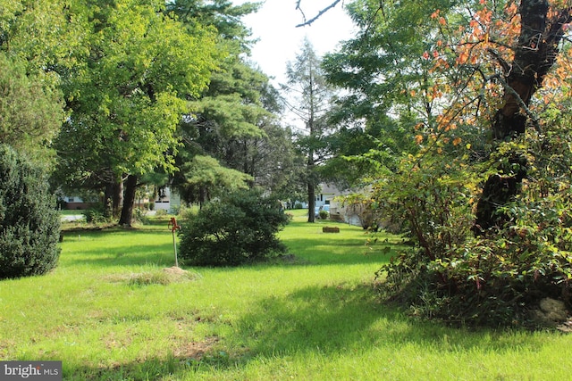 exterior space featuring a yard