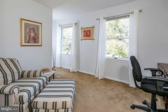 home office with light colored carpet and plenty of natural light