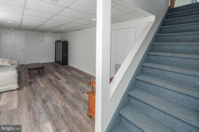 interior space featuring dark hardwood / wood-style flooring and a drop ceiling