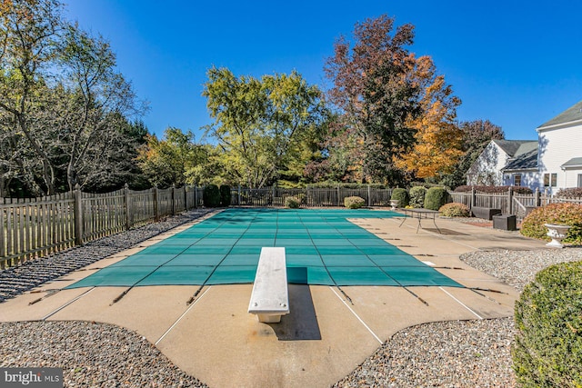 view of pool featuring a patio area and a diving board