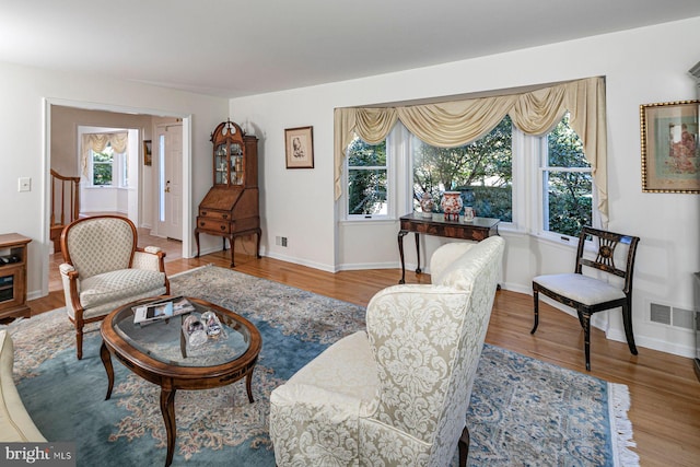 living room with hardwood / wood-style flooring and a wealth of natural light