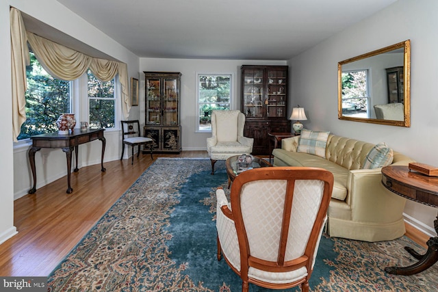 living room with hardwood / wood-style flooring