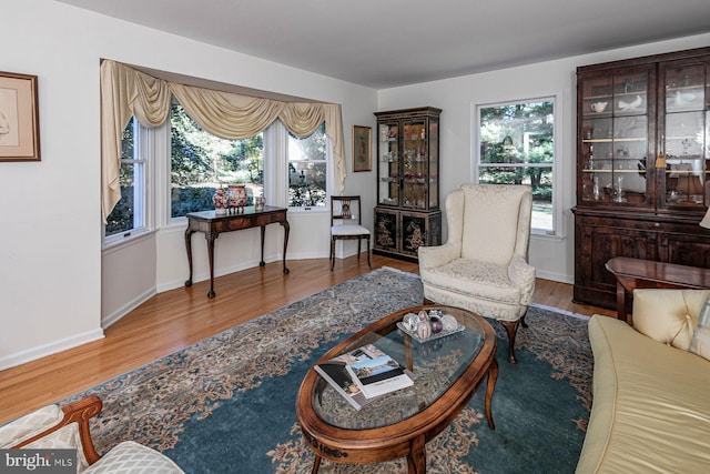 living room with hardwood / wood-style flooring