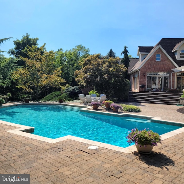 view of pool with a patio