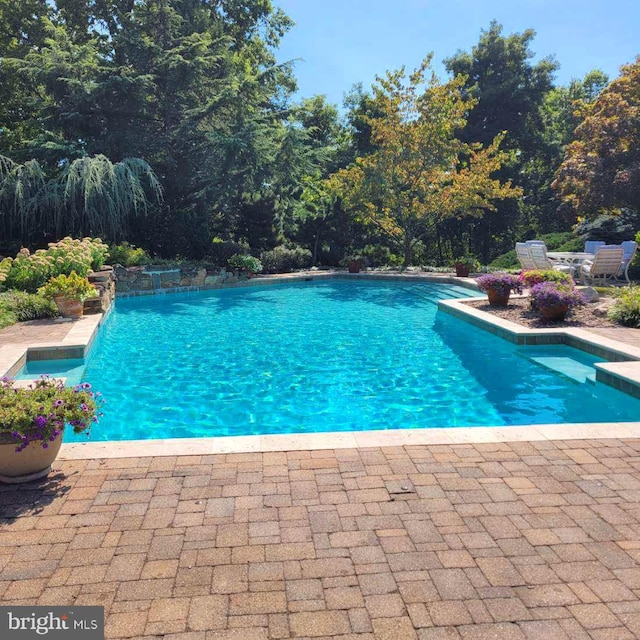 view of swimming pool with a patio