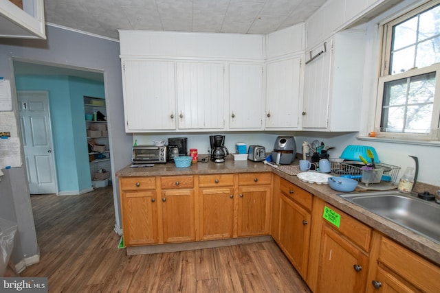 kitchen featuring dark wood-type flooring, crown molding, and sink