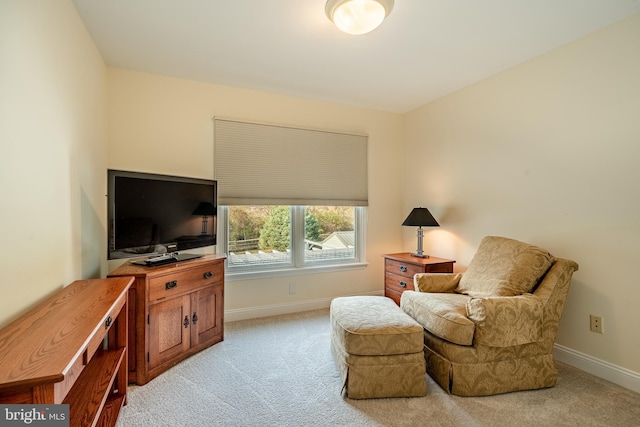 living area with light colored carpet