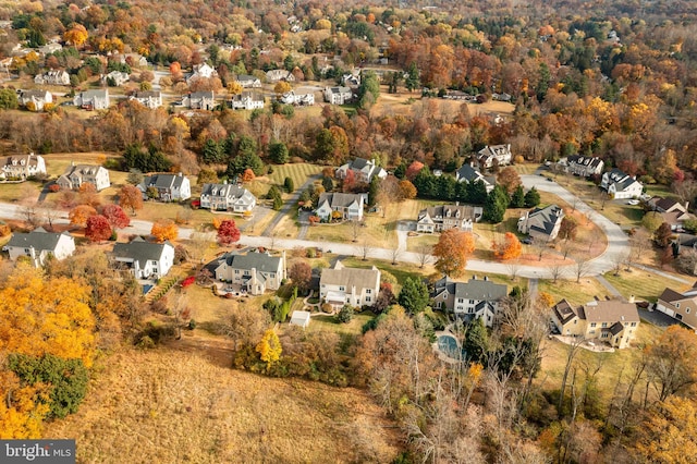 aerial view