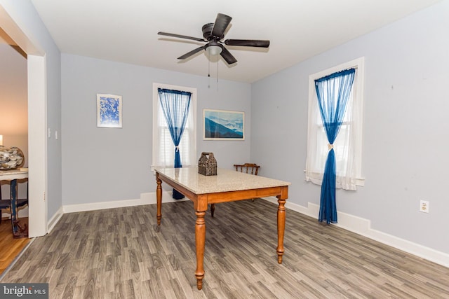 office space featuring a wealth of natural light, wood-type flooring, and ceiling fan